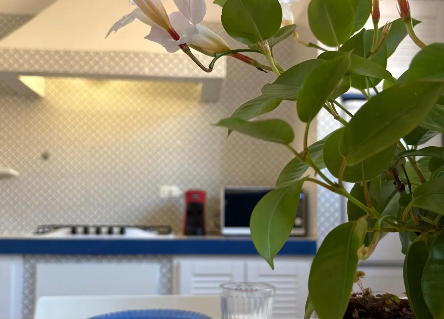 شقة Nest - Family House سانتا فلافيا